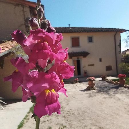Casa Vacanze Podere Ugolini Ronta Eksteriør bilde