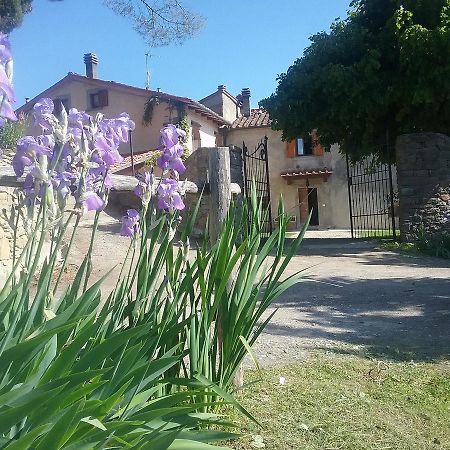 Casa Vacanze Podere Ugolini Ronta Eksteriør bilde