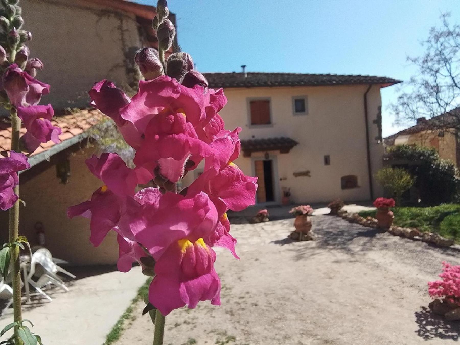 Casa Vacanze Podere Ugolini Ronta Eksteriør bilde
