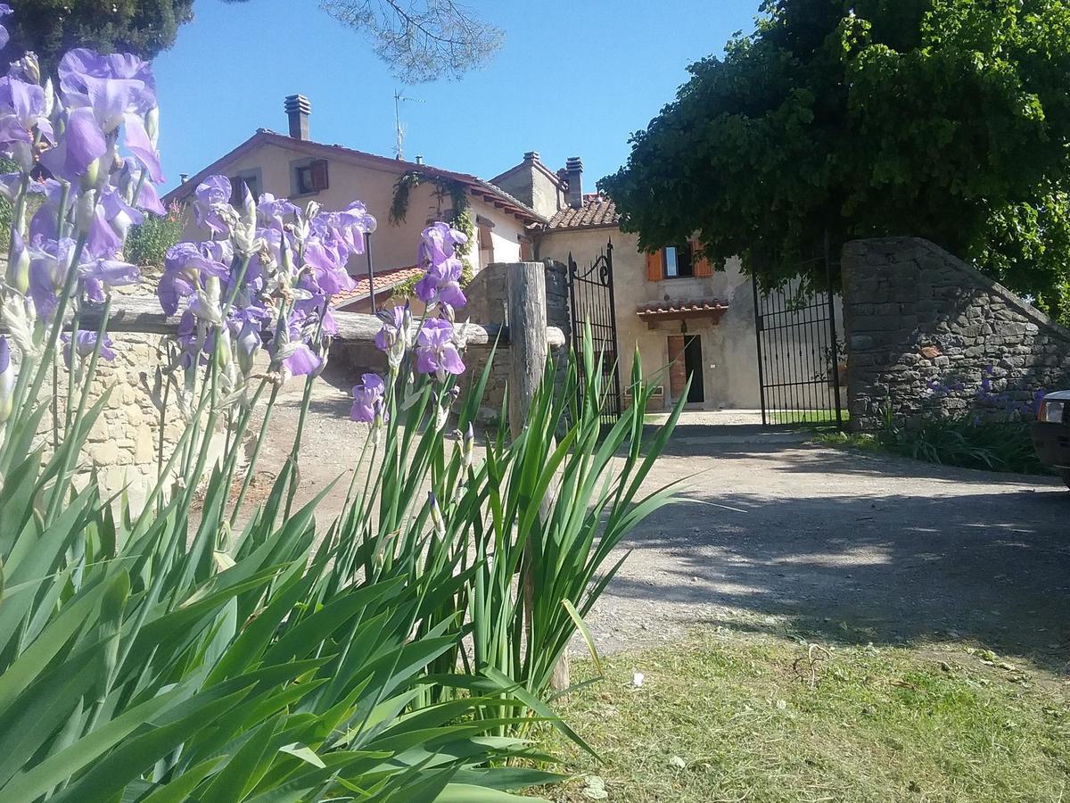 Casa Vacanze Podere Ugolini Ronta Eksteriør bilde